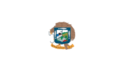 Bandera de Ensenada, Baja California